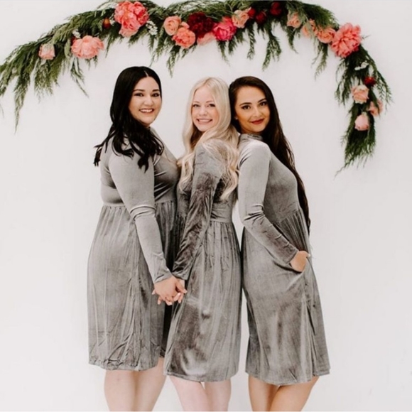 NEW Gorgeous Silver Velvet Ashley Lemeuix Dress - Picture 3 of 4